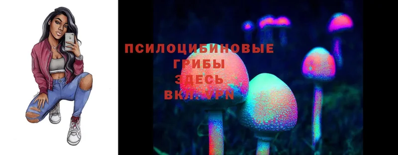 KRAKEN онион  Анива  Галлюциногенные грибы Magic Shrooms  купить закладку 